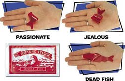 fortune fish